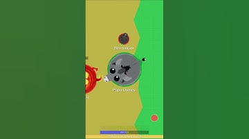 10 Mope.io kills