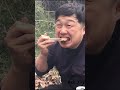 誰にも邪魔されない焚き火メシ #ソロキャンプ #焚き火#campfire #campfirecooking #outdoorcooking #bushcraft #asmr