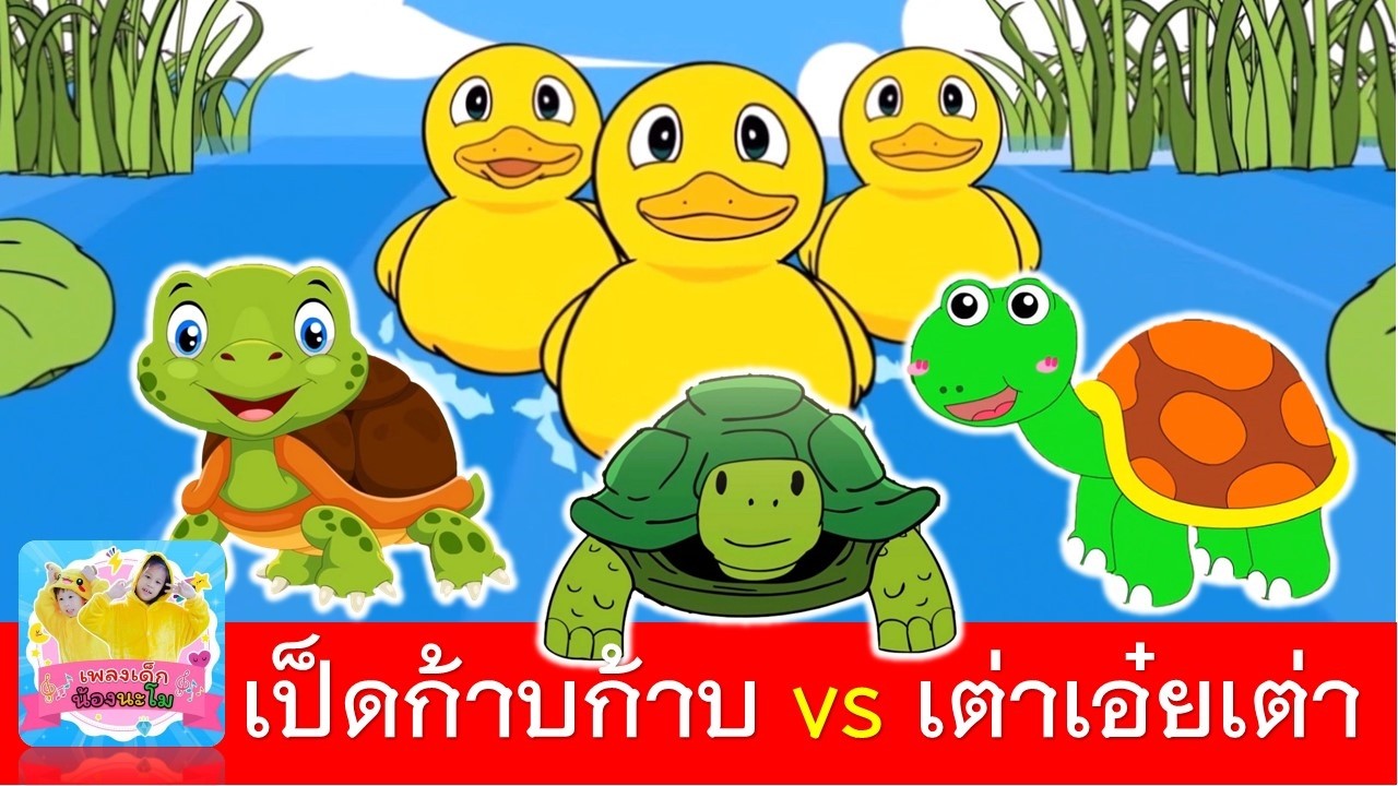 เป็ดก้าบก้าบ vs เต่าเอ๋ยเต่า | เพลงเป็ด | เพลงเต่า | เต่าการ์ตูน 3 เวอร์ชั่น