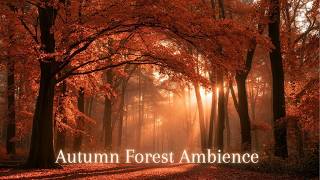 Enchanted Autumn Forest Ambience 🍂 Peaceful Magical Sounds & Soft Music for Study, Sleep & Focus screenshot 4