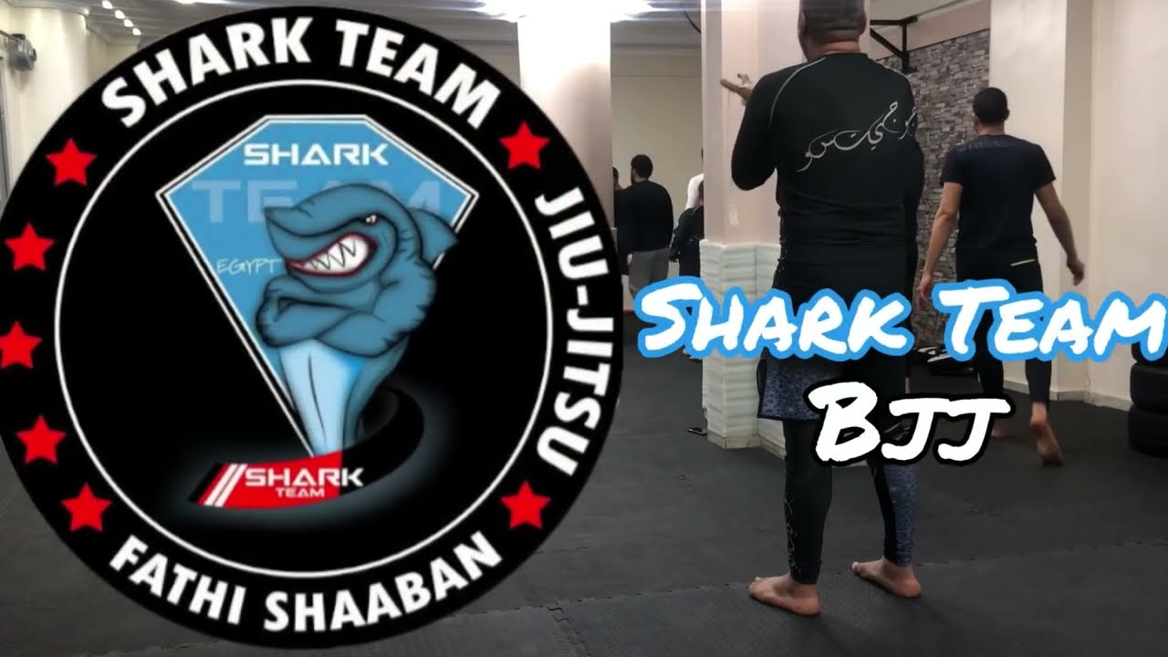 جزء من تدريبات shark team اليومية