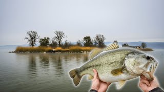 December’s Magic Number: Watch the Water Temp Like Your Paycheck Net Worth