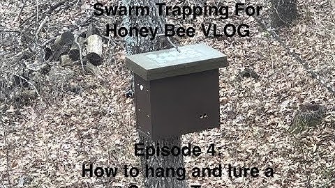Episode 4: How to Set and Bait a Swarm Trap / Bait Hive