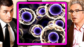 Chemist explains evolution of life on Earth | Lee Cronin and Lex Fridman