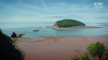 Drone footage: Cliffs of Fundy now a UNESCO Geopark