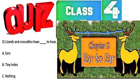 Quiz (Test Yourself) / Ear to ear / Class 4 EVS / CHAPTER 2 / WORKSHEET / NCERT