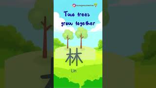 Learn Chinese characters through patterns.