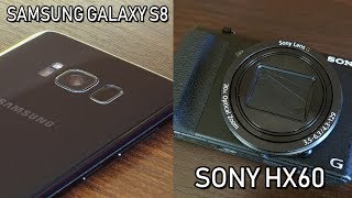 Sony DSC-HX60 vs Samsung Galaxy S8 - Camera Test