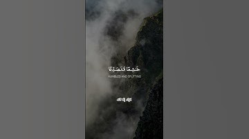 تلاوة خاشعة من القرآن الكريم بصوت الشيخ راغب مصطفى غلوش 📖✨#القرآن #راغب_مصطفى_غلوش #تلاوة_خاشعة