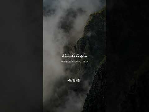 تلاوة خاشعة من القرآن الكريم بصوت الشيخ راغب مصطفى غلوش القرآن راغب مصطفى غلوش تلاوة خاشعة