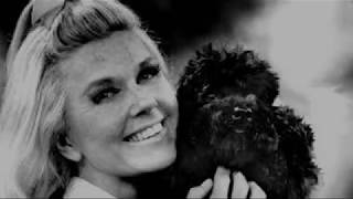 The Amazing Doris Day 1922 - 2019