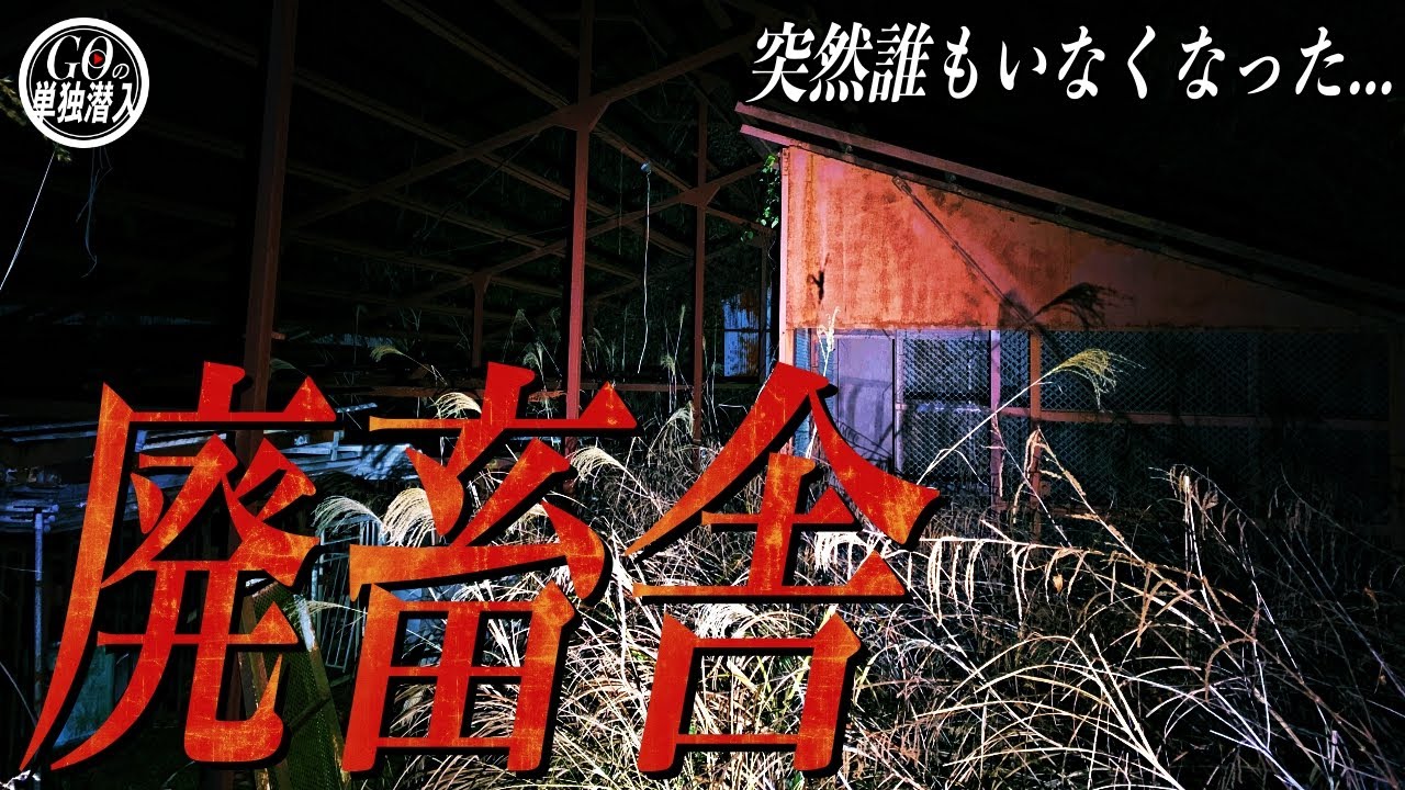 山中に眠るヤバい雰囲気を放つ廃畜舎に単独潜入！