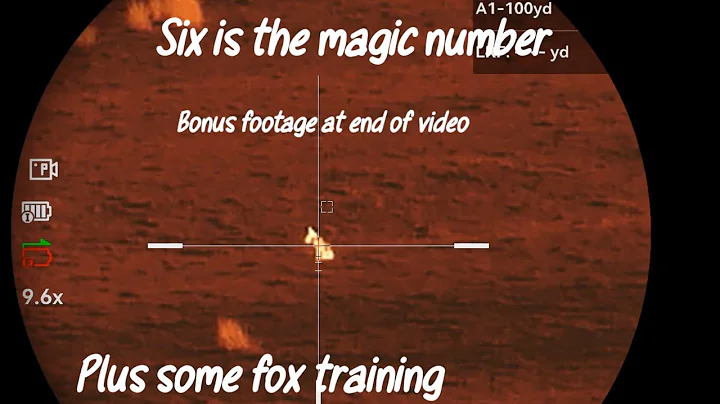 Six Is The Magic Number Hikmicro SQ50L