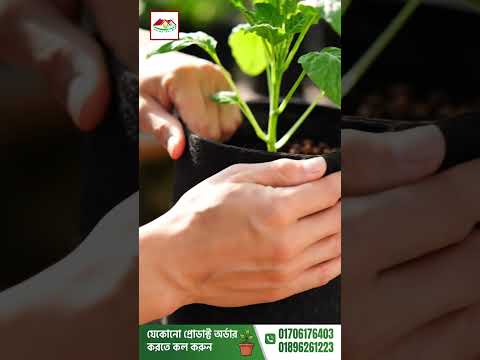 গাছে বারবার পোকা ধরলে কী করবেন? 🐛🌿 | Pest Control Full Guide