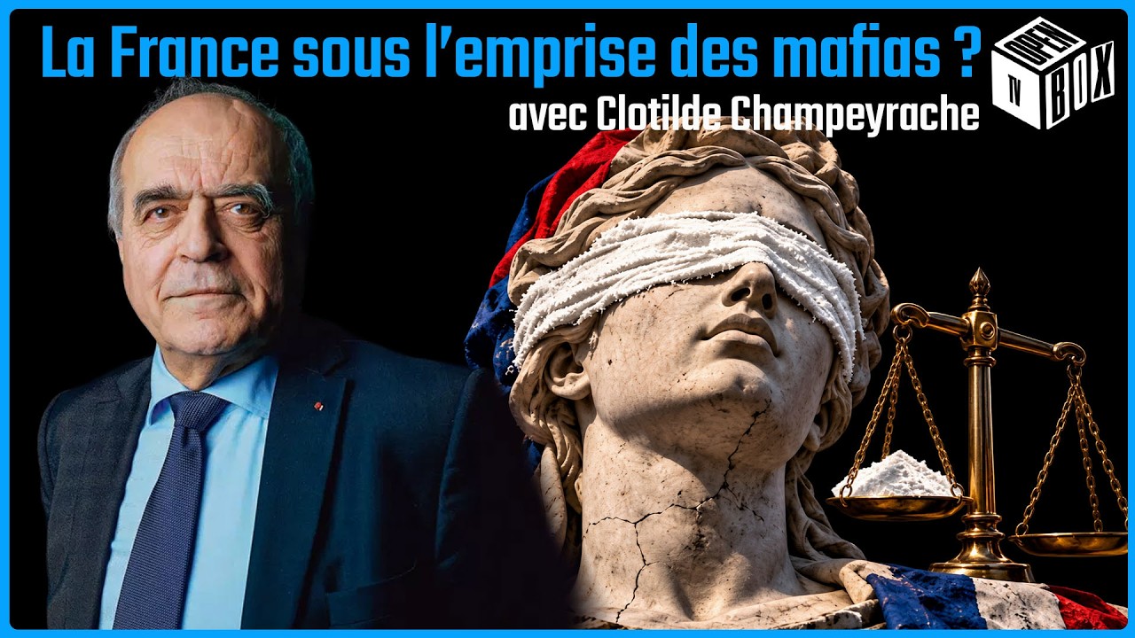 Dr*gue, cocaïn* : La France sous l’emprise des mafias ? Clotilde Champeyrache – OPEN BOX TV