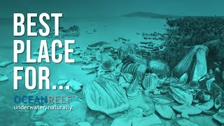 Best place for... - Riau Islands