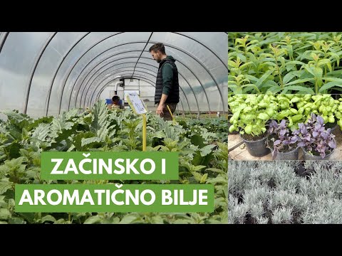 Video: Kreiranje proljetnog vrta sa začinskim biljem