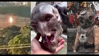 Bizarre Humanoid Beings, Aliens, Giants and Weird Creatures