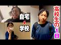 朝から病み期の高校生Vlog。でも推しのライブ当落で大逆転した1日。ドンキ購入品も紹介