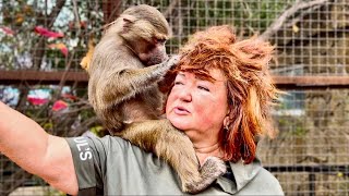 Степка наконец-то ВСПОМНИЛ ПРО МАМУ и принялся за ней ТАК НЕЖНО УХАЖИВАТЬ! 