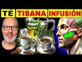 TÉ, INFUSIÓN y DECOCCIÓN (ROMERO, LAUREL, JENGIBRE, CLAVO DE OLOR) CÓMO USAR y DIFERENCIAS