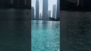 Wonderful Dubai #travel #life #dubai