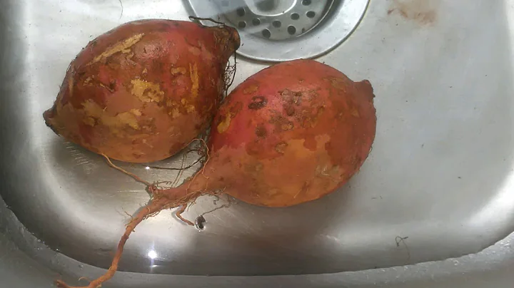 Sweet Potato Pudding