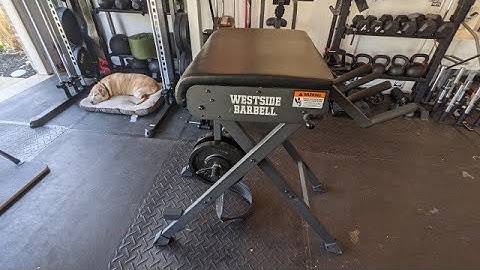 Scout Hyper Analysis