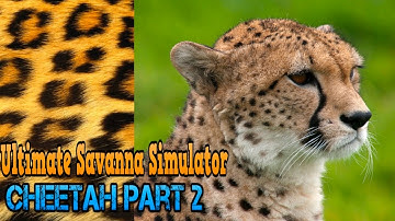 Ultimate Savanna Simulator #Cheetah Part 2  By Gluten Free Games iTunes/Android