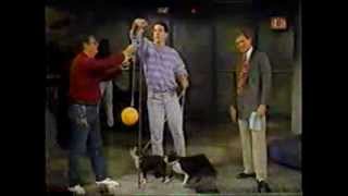 David Letterman Show  Stupid Pet Tricks