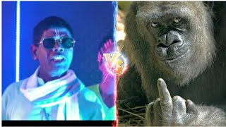 Badam Badam Viral Song Vs Gorilla Song || Badam Badam Song Funny Video