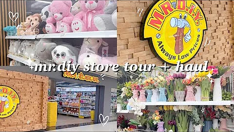 MR. DIY STORE TOUR 2025 + HAUL🌷| SHOP WITH ME |🛍️✨