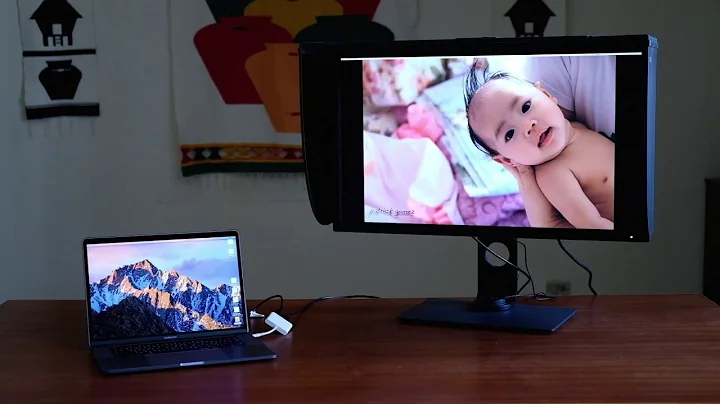 BenQ SW 320 "the Photographer's Monitor"