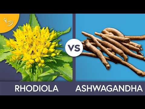 Video Rhodiola for Stress: Better Than Ashwagandha?