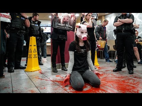 Animal Rights Activists Cover McDonalds In Blood