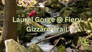 Fiery Gizzard Trail, Laurel Gorge, Hiking in and Out