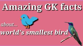 facts about world's smallest bird || GK facts part 2 #shorts