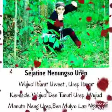 Story Wa keren