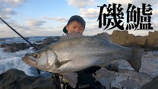 【房総半島】釣り旅をしたらヒラスズキが爆釣したよ 【房総半島】釣り旅をしたらヒラスズキが爆釣したよ