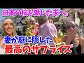 【海外の反応】日本の桜を愛した夫へ、妻が庭で贈った最高のサプライズ。パリ・ベルリン・ロンドン...なぜ世界中の街角が「日本の桜色」に染まっているのか?