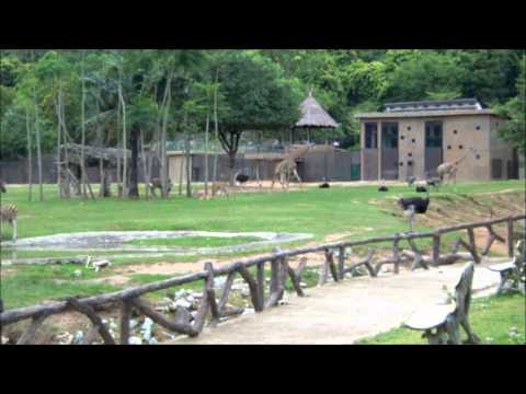 Khao Kheow Open Zoo, Chonburi, Thailand