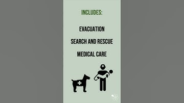 Immediate Responses to Tectonic Hazards | 60 Second Geography on Tectonic Hazards