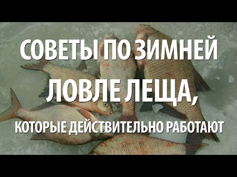 КАК ЛОВИТЬ РЫБУ ПОДЛЕЩИКА и ЛЕЩА ЗИМОЙ. СНАСТЬ для ПОДЛЕДНОЙ ЗИМНЕЙ РЫБАЛКИ