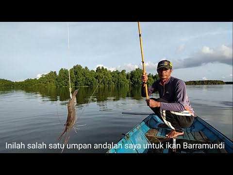 Perlawanan ikan-ikan predator kali ini membuat joran melengkung tajam