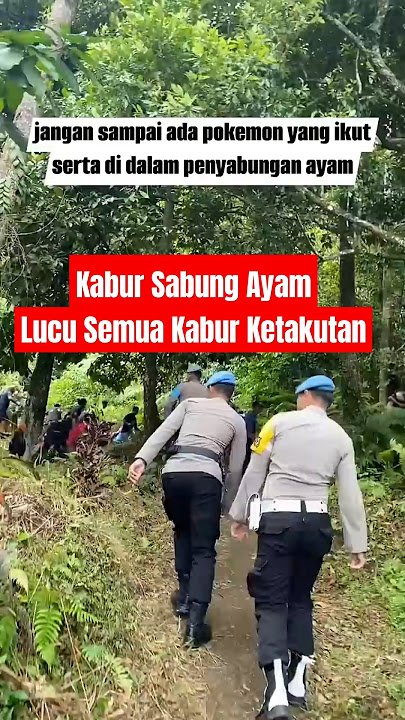 POLISI AMANKAN SABUNG AYAM #viralvideo #shorts #viralshort #ayam