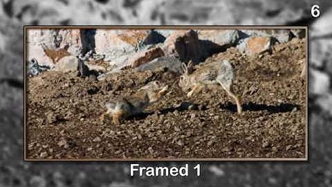 Proshow Producer Styles: Volume 1