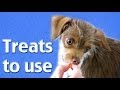 What treats to use - how to train a dog What treats to use - how to train a dog
