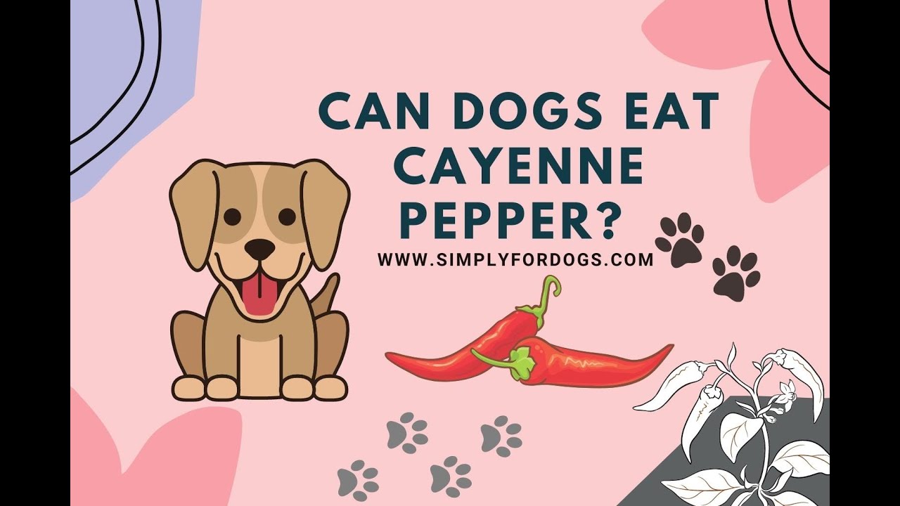 is cayenne pepper harmful to dogs