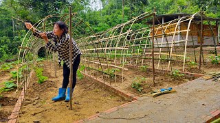 How to make a beautiful vegetable trellis from bamboo | farm construction / Ban Thi Diet