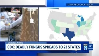 Superbug confirmed in 23 states: Where is the deadly fungus spreading in 2026?
